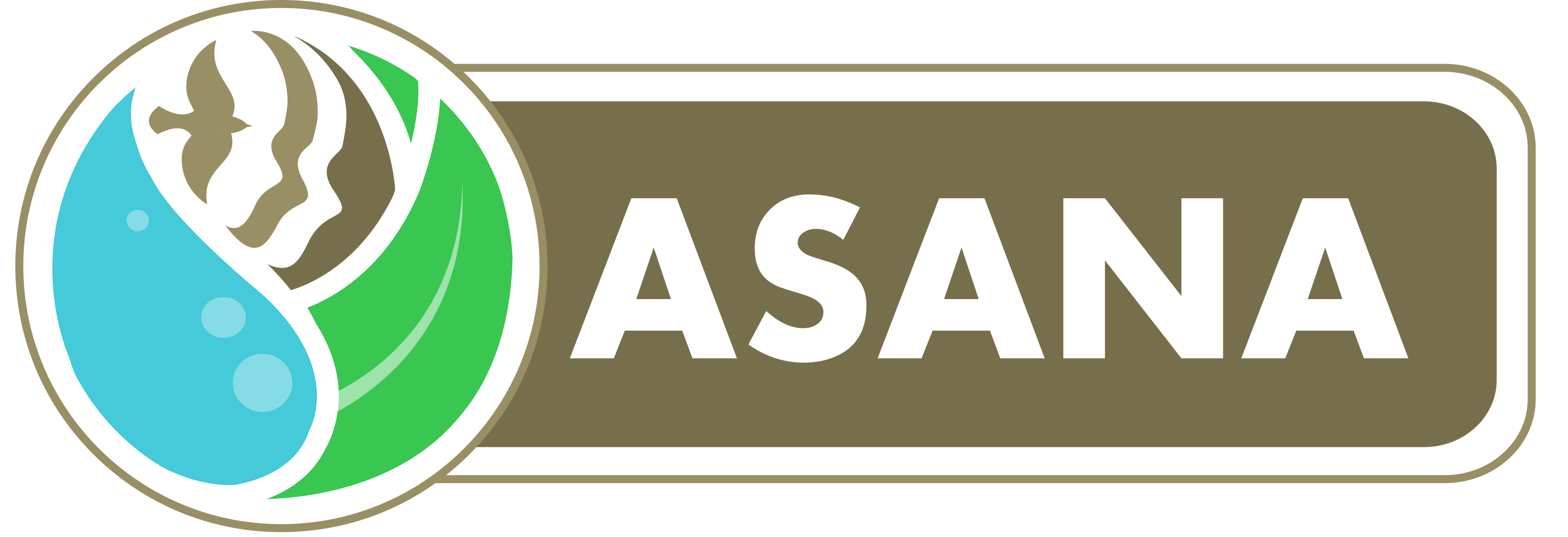 Logo ASANA