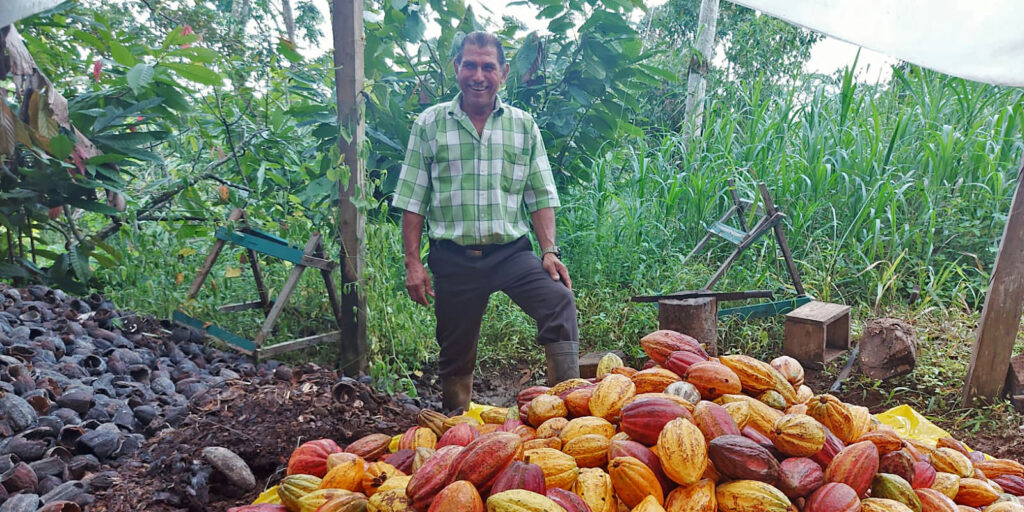 imagen de agricultor con cacao