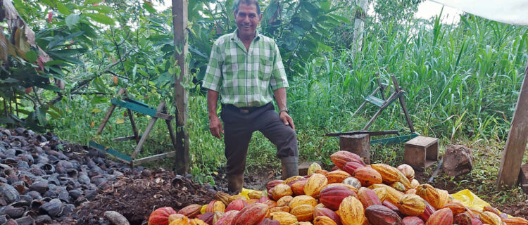 imagen de agricultor con cacao