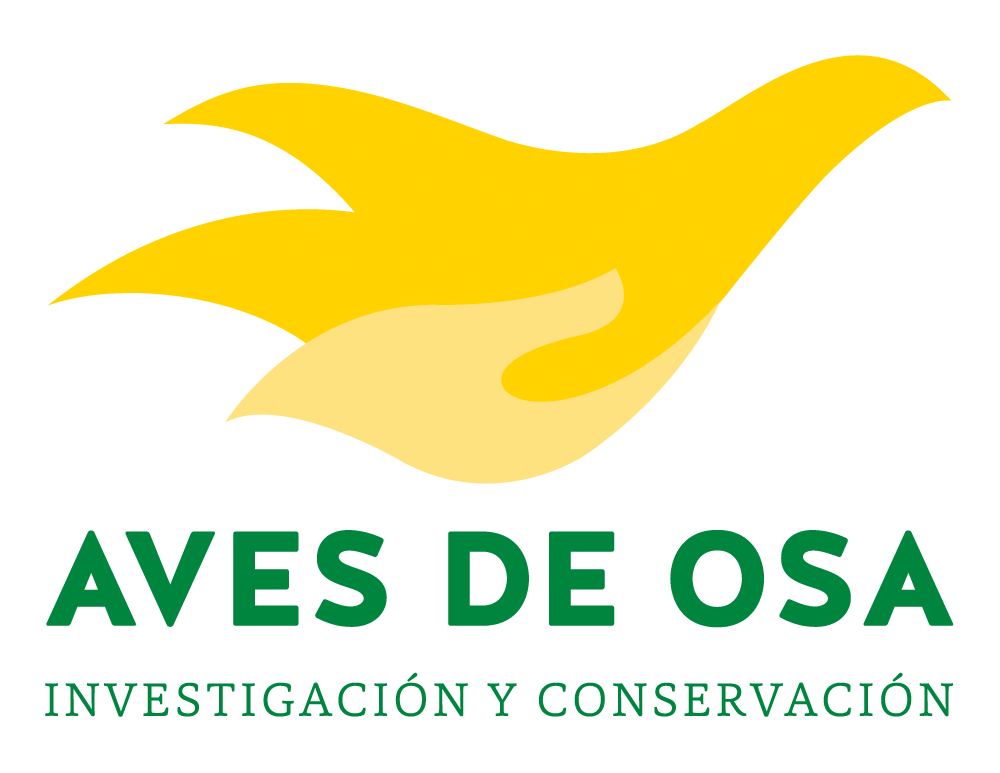 spanish-logo-for-web-large
