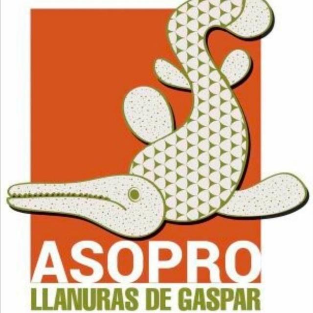 Logo ASOPRO