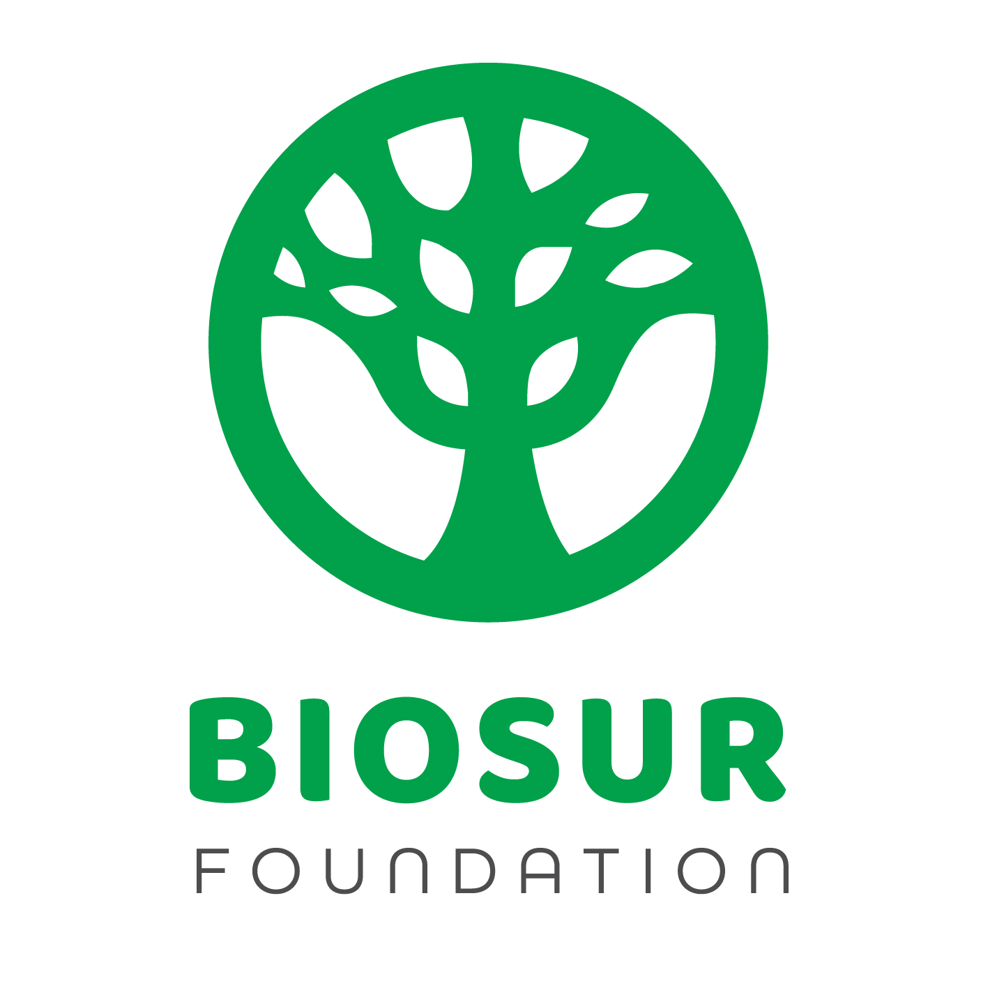 Logo BioSur Fundation